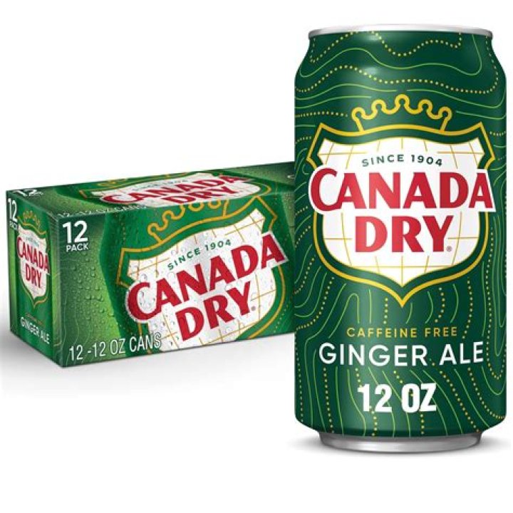 Best Canada Dry Products: Refreshing, Unique Beverages