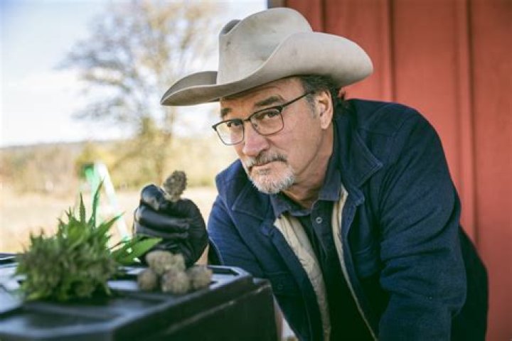 Jim Belushi Movies and TV Shows: A Comprehensive Overview